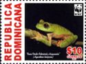 Hispaniolan Green Treefrog (Hypsiboas heilprini)