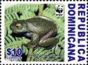 Hispaniolan Green Treefrog (Hypsiboas heilprini)