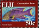 Coronation Trout (Variola louti)