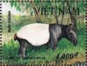 Asian Tapir (Tapirus indicus)