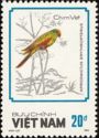 Red-winged Parrot (Aprosmictus erythropterus)
