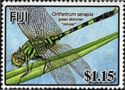 Cecwal - Green Skimmer (Orthetrum serapia)