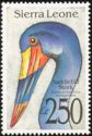 Saddle-billed Stork (Ephippiorhynchus senegalensis)