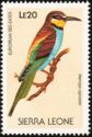 European Bee-eater (Merops apiaster)