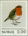 European Robin (Erithacus rubecula)