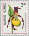 Cypripedium calceolus - Lady's-slipper Orchid