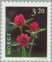 Red Clover (Trifolium pratense)