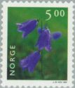 Harebell (Campanula rotundifolia)