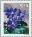 Hepatica (Hepatica nobilis)