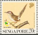Common Tailorbird (Orthotomus sutorius)