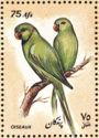 Rose-ringed Parakeet (Psittacula krameri)
