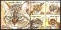 Small Wild Cats of Africa