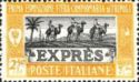Express - Dromedarys (Camelus dromedarius) with Riders