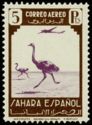 Ostrich (Struthio camelus)