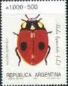Two-spotted Ladybird (Adalia bipunctata)