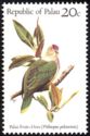 Palau Fruit-dove (Ptilinopus pelewensis)