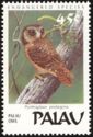 Palau Owl (Pyrroglaux podargina)