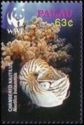 Palau Nautilus (Nautilus belauensis)