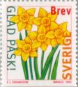 Daffodils