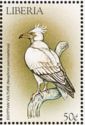 Egyptian Vulture (Neophron percnopterus)