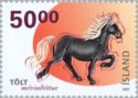 Iceland Horse (Equus ferus caballus)