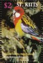 Eastern Rosella (Platycercus eximius)