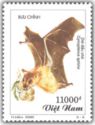 Greater Short-nosed Fruit Bat (Cynopterus sphinx)