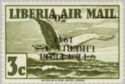 European Herring Gull (Larus argentatus) - Overprint