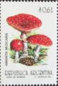 Amanita muscaria