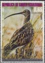 Whimbrel (Numenius phaeopus)