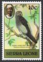 Grey Parrot (Psittacus erithacus); 1982 imprint