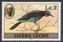 Black Bee-eater (Merops gularis); 1982 imprint