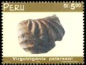Virgotrigonia peterseni (Fossil)