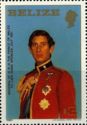 Prince Charles in Military Uniform