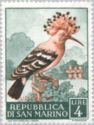 Eurasian Hoopoe (Upupa epops)
