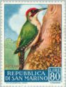 Eurasian Green Woodpecker (Picus viridis)