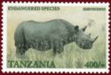 Black Rhinoceros (Diceros bicornis)
