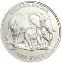5,000 Kwacha (Elephant)