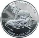 5,000 Kwacha (Lions)