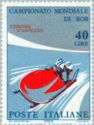 Two-man Bobsleigh