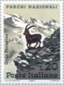 Alpine Ibex (Capra ibex), Gran Paradiso Park