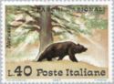 Brown Bear (Ursus arctos), Abruzzo Park