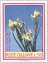 Florentine Iris