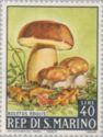 Cep (Boletus edulis)