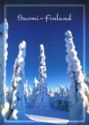 Winter Marvels in Finland