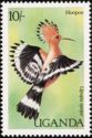 Eurasian Hoopoe (Upupa epops)