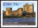 Trim Castle, Co. Meath