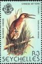 Chinese Bittern (Ixobrychus sinensis)
