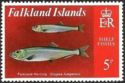 Falkland Herring (Clupea fuegensis)