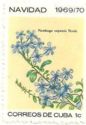 Plumbago capensis